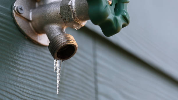 Best Local Plumber Services  in Donalsonville, GA